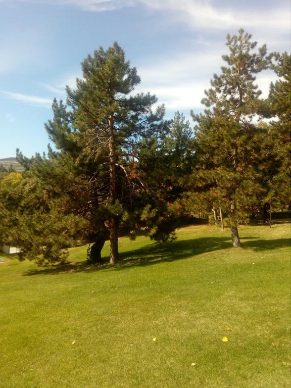 Балнеохотел Роза Strelcha Dış mekan fotoğraf